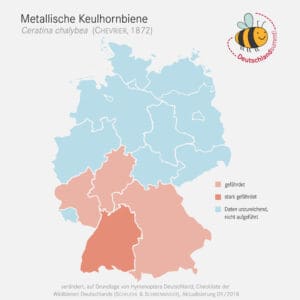 Metallische Keulhornbiene  Verbreitungskarte 