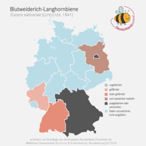 Verbreitung der Blutweiderich-Langhornbiene