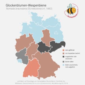 So verbreitet ist die Glockenblumen-Wespenbiene in Deutschland.