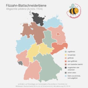 So verbreitet ist die Filzzahn-Blattschneiderbiene in Deutschland. 